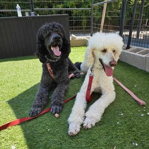 Fundraising Page: Roget Berendes